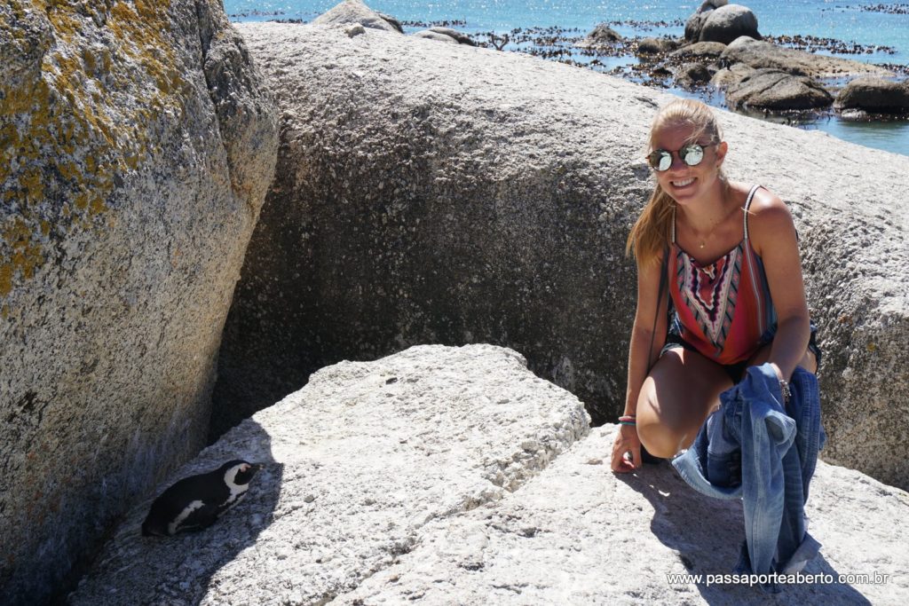 Eu bem pertinho de um pinguim em Boulders mesmo. Nesta praia você pode tomar banho de mar, caminhar etc, e até encontrar algum pinguim, mas ela não é onde fica a maior concentração de pinguins.