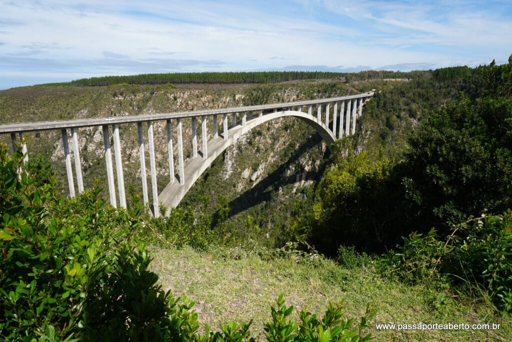 Ponte de onde acontecem os saltos!