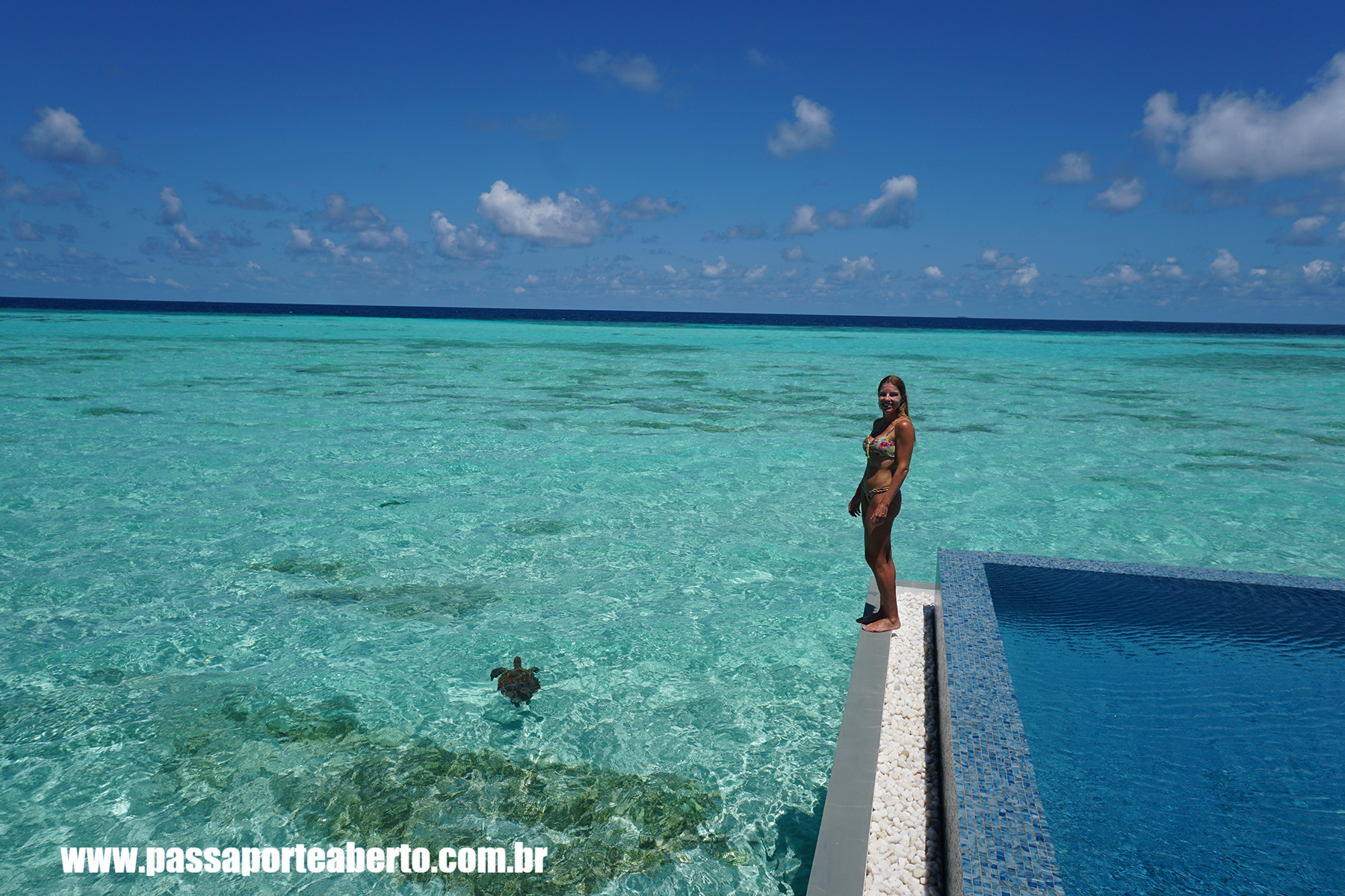 pullman-maldives-maamuta-island-ocean-villas-turtle